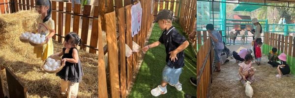 hoạt động ngoại khóa hcm