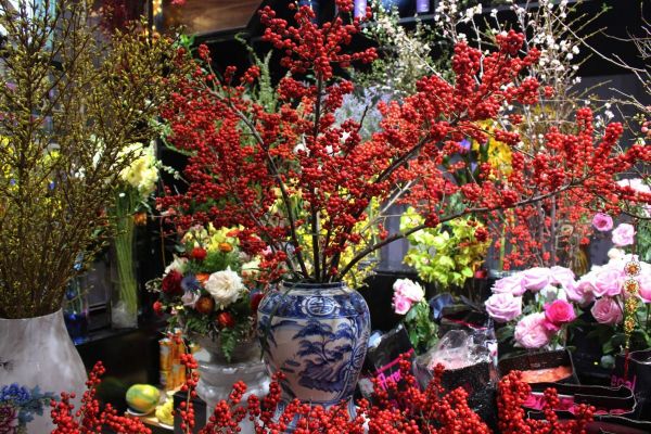 Chơi hoa ngày Tết mang không khí sinh động vào nhà