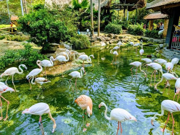 tết tây đi đâu chơi