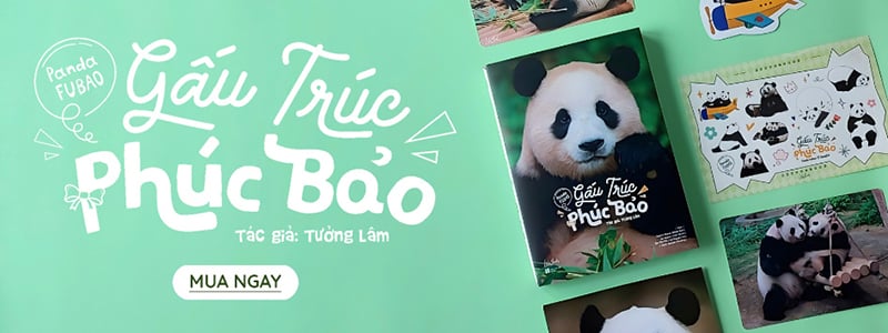 Gấu trúc Phúc Bảo