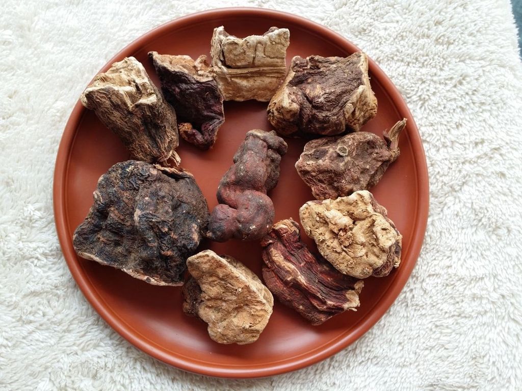 Hà thủ ô là nguyên liệu trong nhiều phương pháp cải thiện tóc bạc