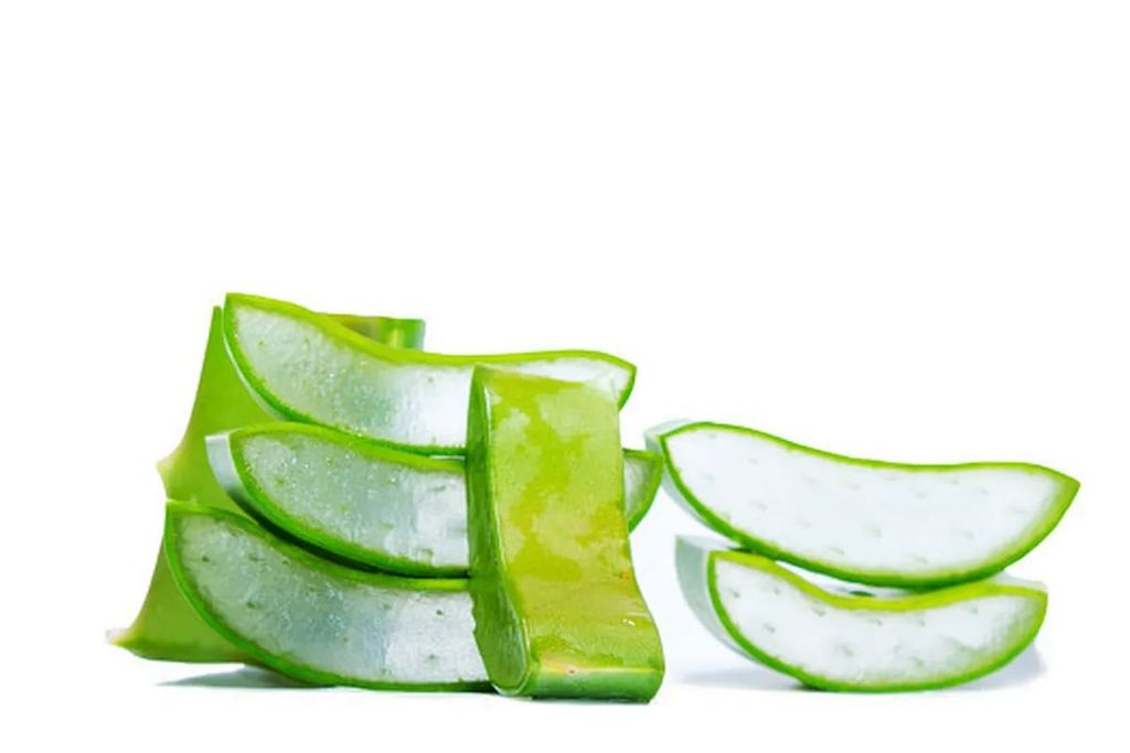 Chiết xuất lô hội trong mỹ phẩm