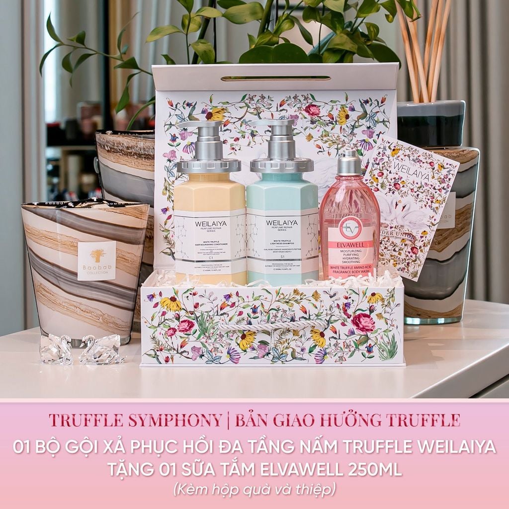 Set Truffle Symphony