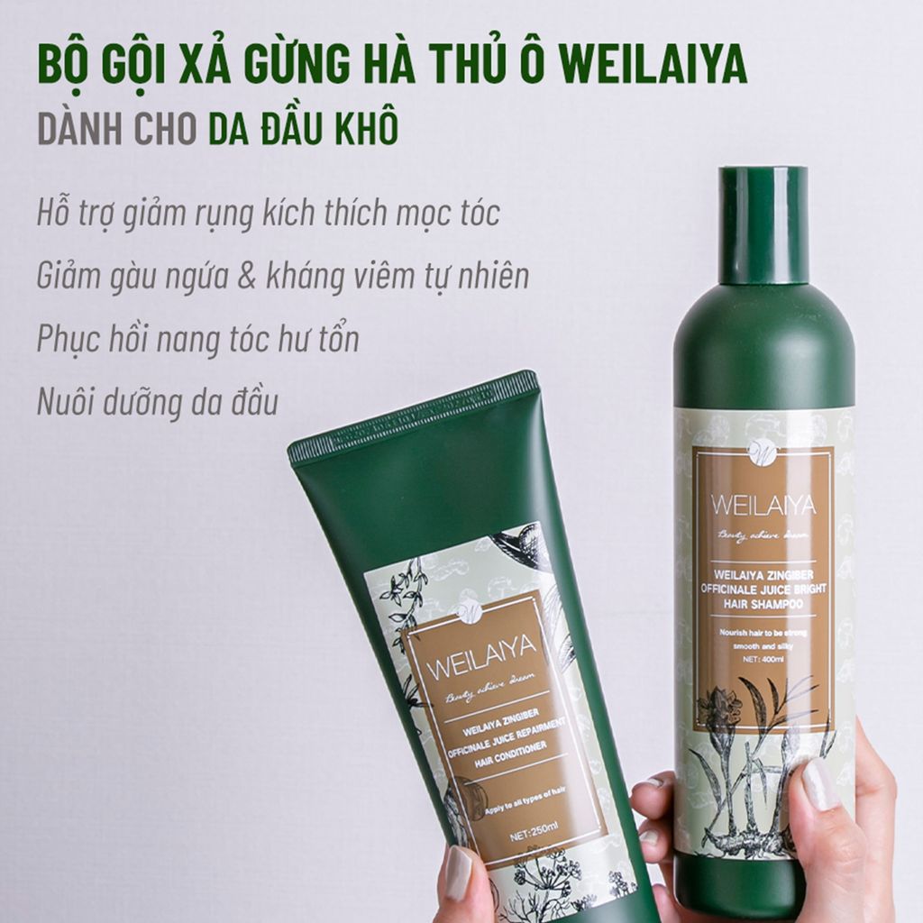 Dầu gội Weilaiya chiết xuất gừng, hà thủ ô, dầu oliu, hoa oải hương…
