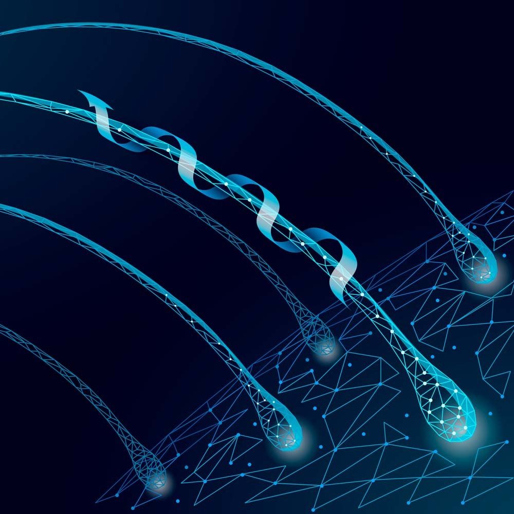 Nang tóc quyết định sức sống của sợi tóc