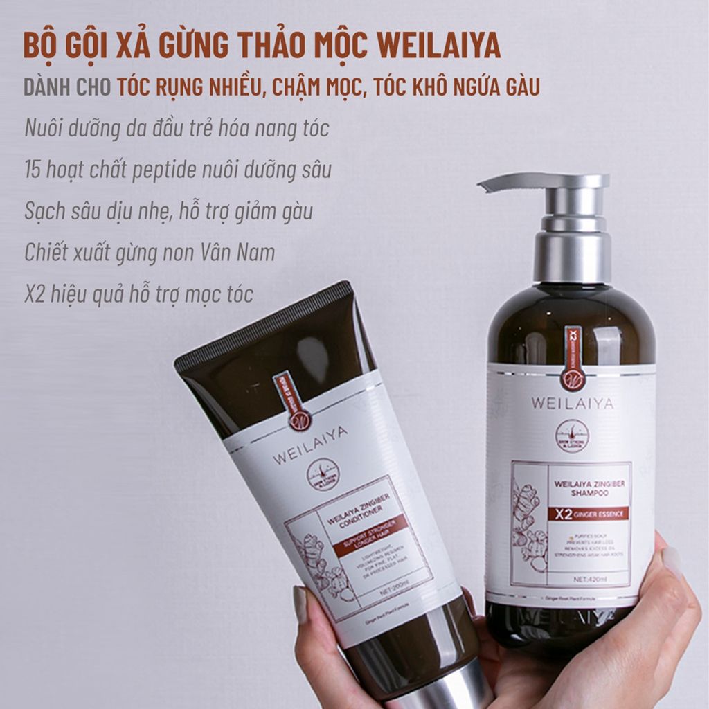 Bộ gội xả gừng thảo mộc Weilaiya