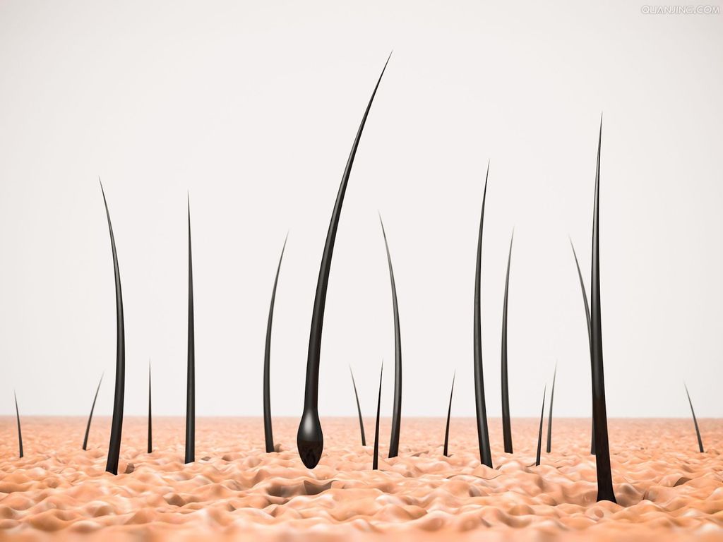 Melanin là yếu tố quyết định đến màu sắc của tóc