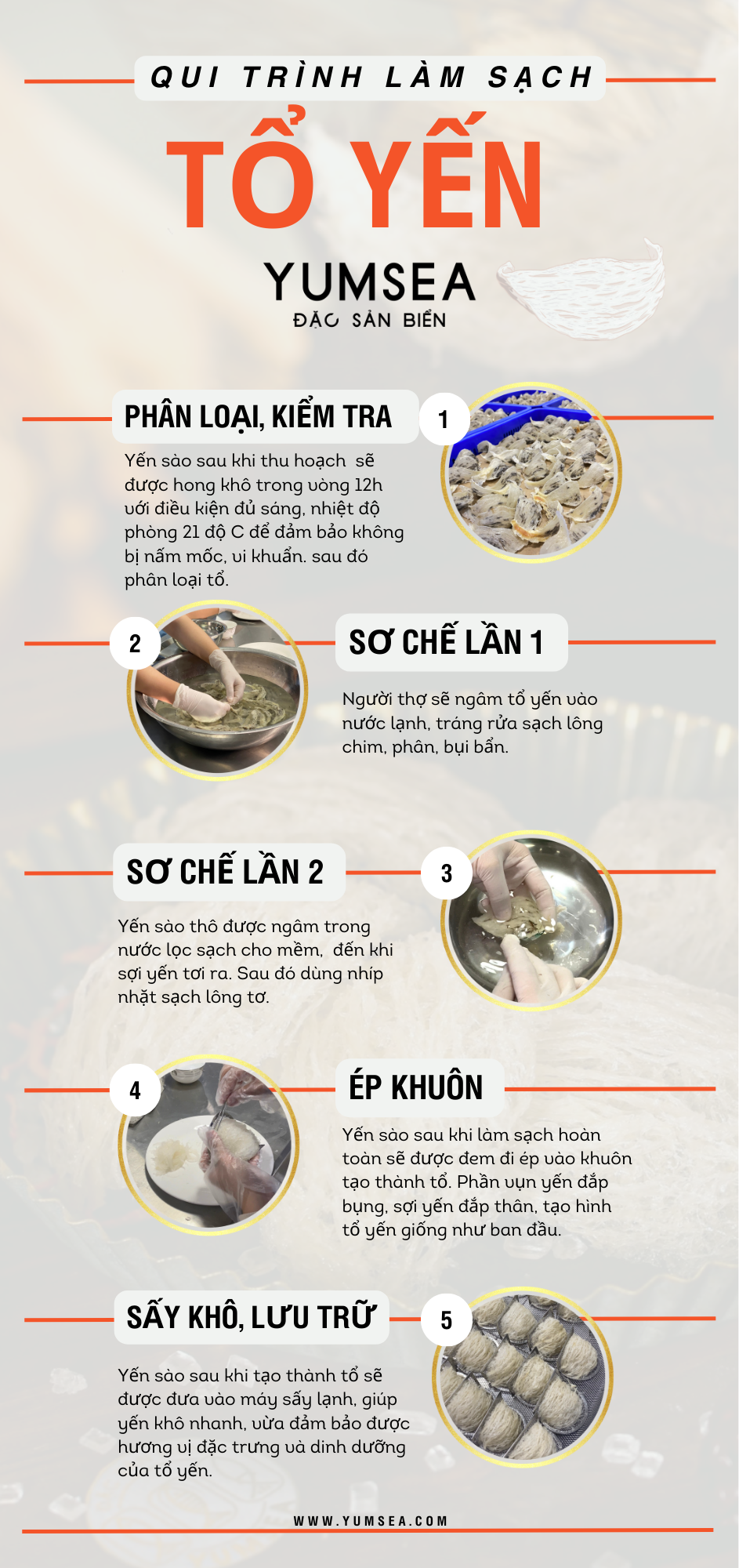 qui-trinh-lam-sach-long-to-yen-sao-yumsea