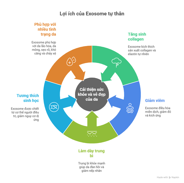 tang-sinh-collagen-2