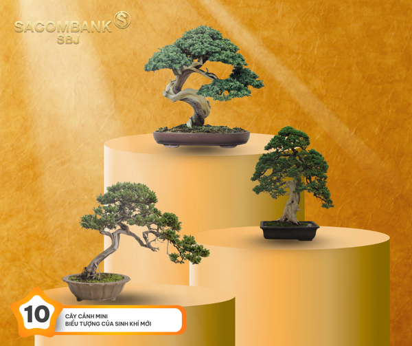 TOP 10 MÓN QUÀ Ý NGHĨA DÀNH TẶNG NGƯỜI THÂN DỊP TẾT DƯƠNG LỊCH 2026