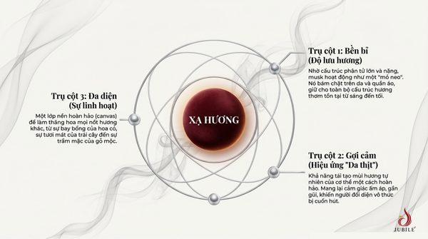 vi-sao-nuoc-hoa-co-xa-huong