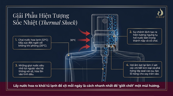 nuoc-hoa-co-de-tu-lanh-duoc-khong-cach-lam-dung-cua-chuyen-gia