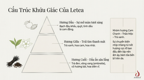 cau-tru-tang-huong-tinh-dau-nuoc-hoa-mui-tra-letea-by-jubile