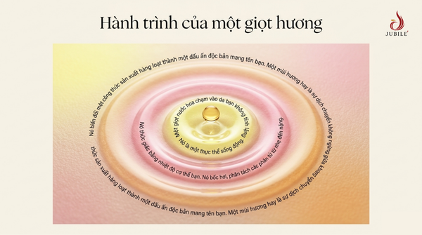 y-nghia-cua-tung-tang-huong