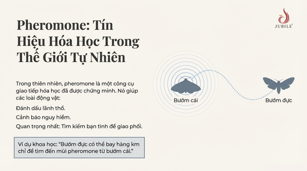 nuoc-hoa-tinh-yeu-su-that-hay-chieu-tro-marketing-4.png