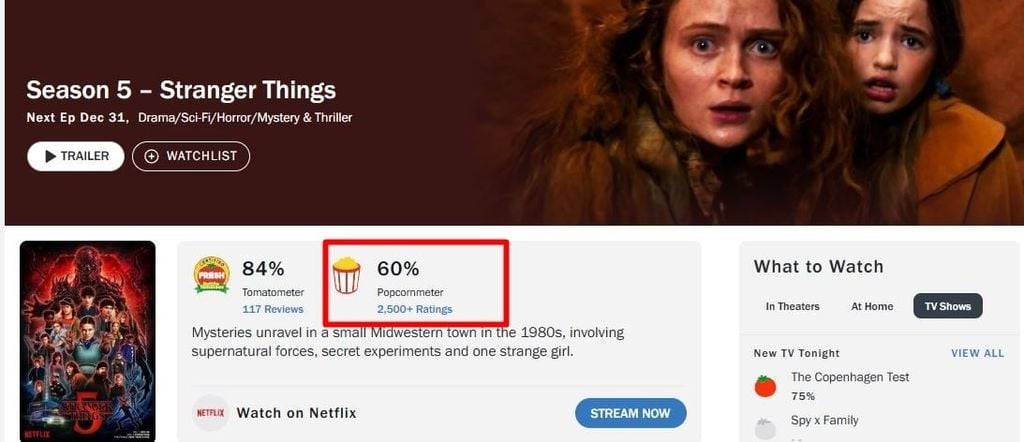 Stranger Things 5 Volume 2 Netflix gây tranh cãi với điểm số thấp và phản ứng tiêu cực từ khán giả