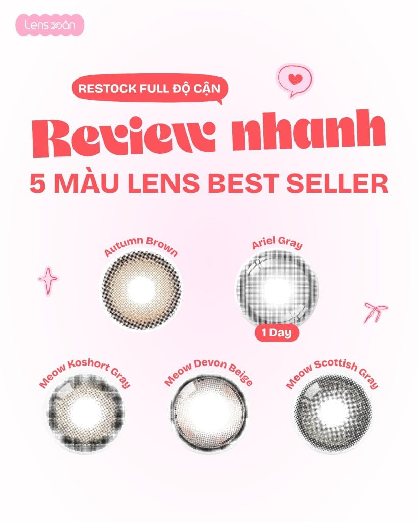 review 5 màu lens best seller restock full độ cận autumn brown ariel gray meow devon beige koshort gray scottish gray
