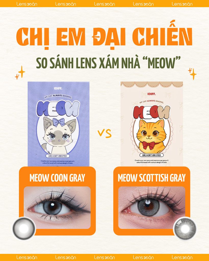 So sánh lens xám Meow Coon Gray và Meow Scottish Gray