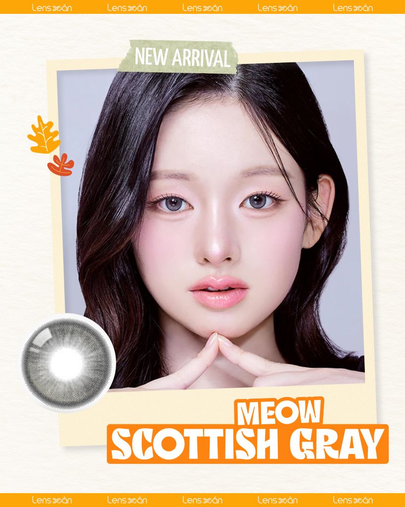 Meow Scottish Gray – Lens xám bạc ánh sao băng long lanh, chính hãng Lens Xoắn