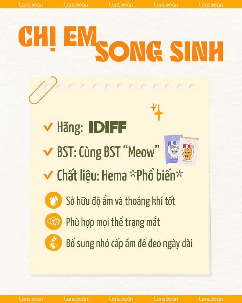 So sánh lens xám Meow Coon Gray và Meow Scottish Gray