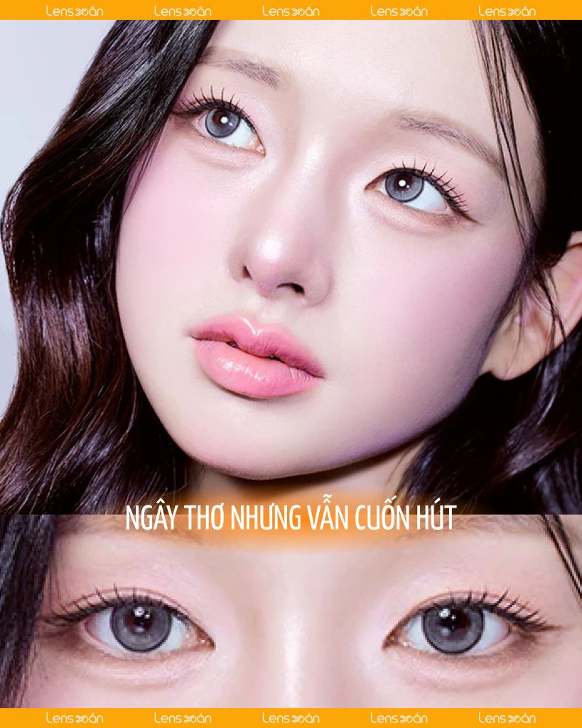 Meow Scottish Gray – Lens xám bạc ánh sao băng long lanh, chính hãng Lens Xoắn