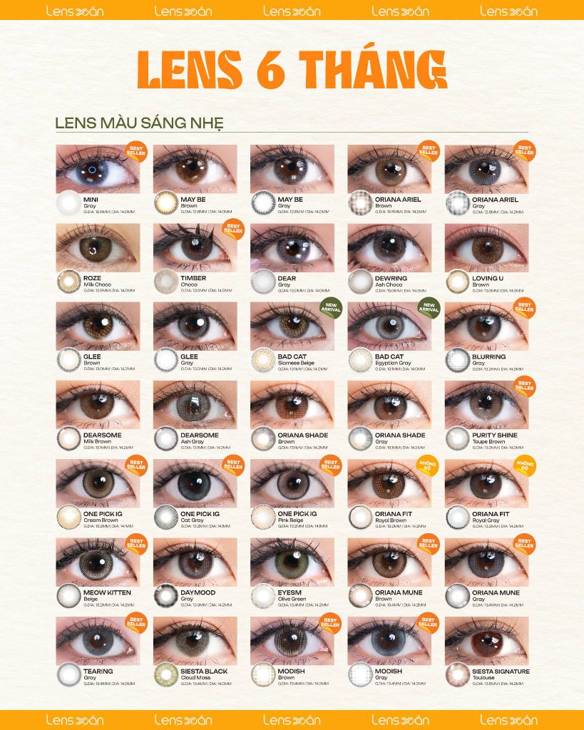 BST Lens 6 Tháng – Đa Dạng, Tiết Kiệm & Đẹp Mọi Layout