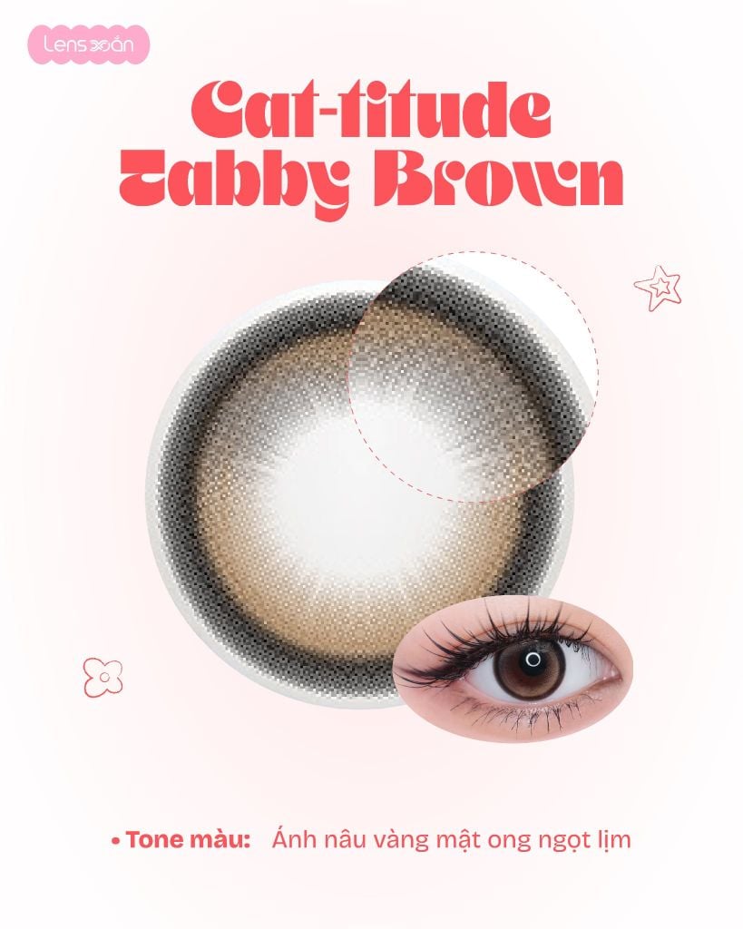 Cat-titude Collection Hapa Kristin lens mèo con Tabby Brown tại Lens Xoắn