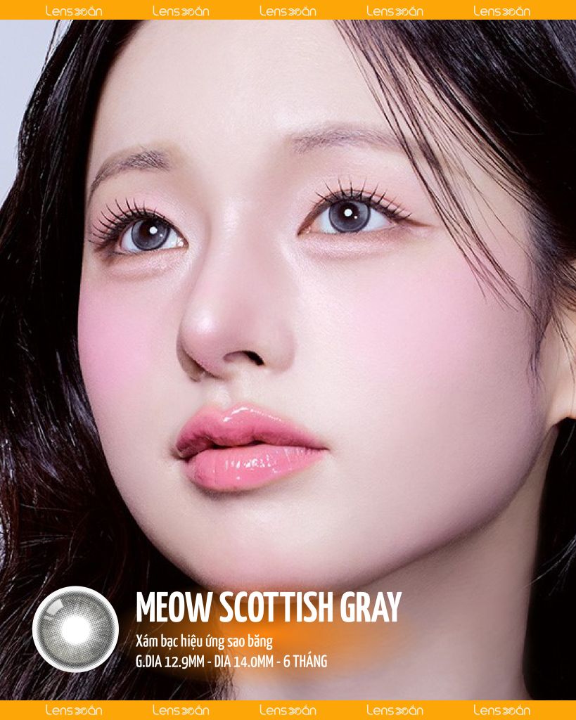 Meow Scottish Gray – Lens xám bạc ánh sao băng long lanh, chính hãng Lens Xoắn
