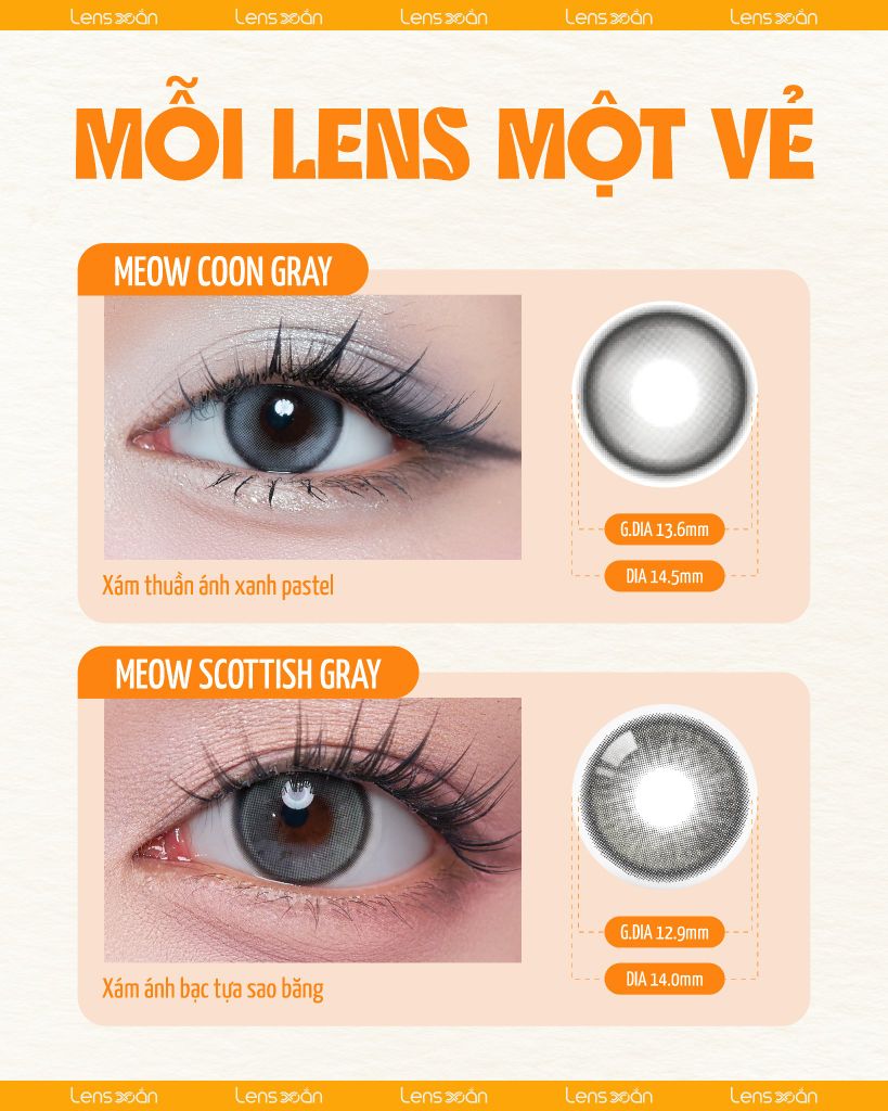 So sánh lens xám Meow Coon Gray và Meow Scottish Gray