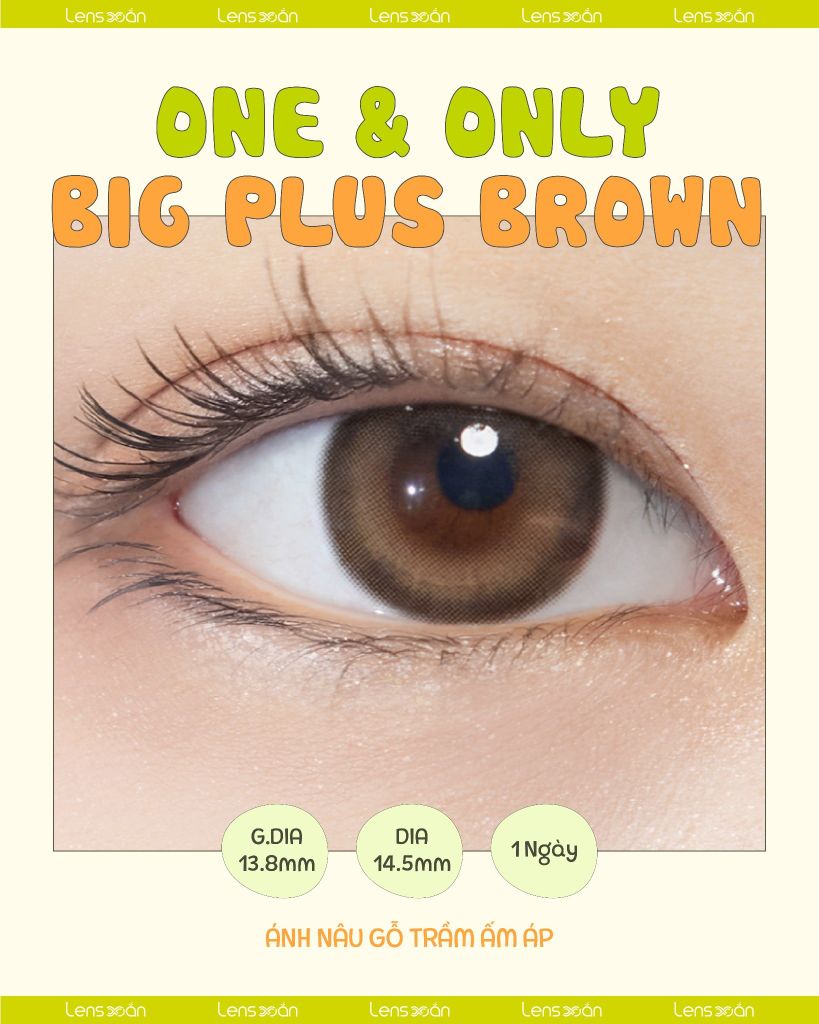 One & Only Big Plus Brown Hapa Kristin lens nâu gỗ trầm