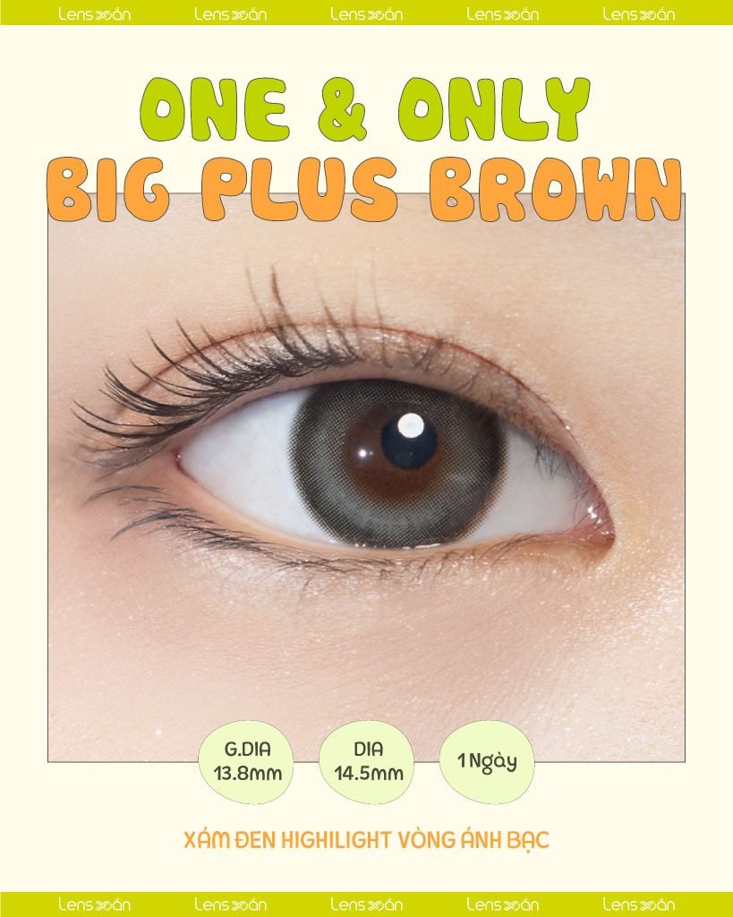 Lens One & Only Big Plus Gray Hapa Kristin xám đen highlight bạc