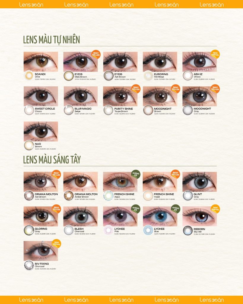 Tổng hợp bộ sưu tập Lens 1 ngày đa dạng mẫu mã, siêu tiện lợi và an toàn cho mắt