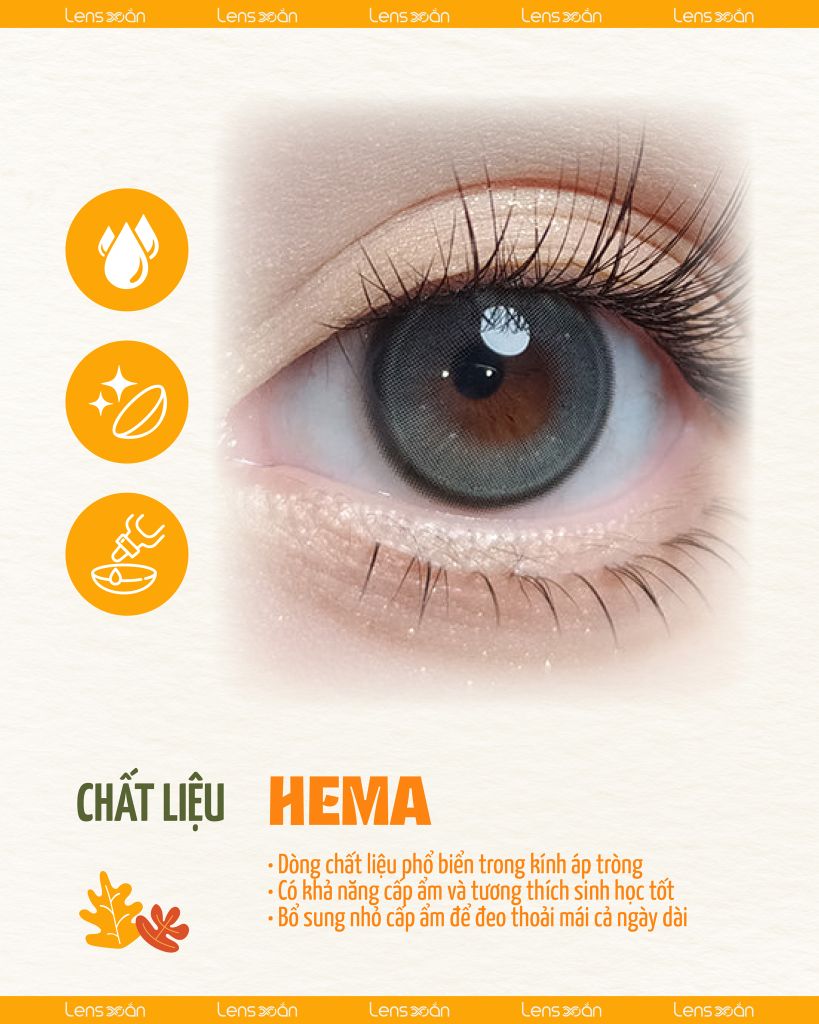 Meow Scottish Gray – Lens xám bạc ánh sao băng long lanh, chính hãng Lens Xoắn