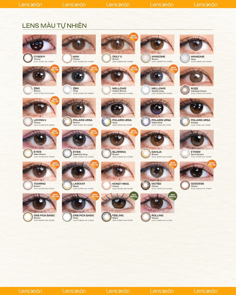 BST Lens 6 Tháng – Đa Dạng, Tiết Kiệm & Đẹp Mọi Layout