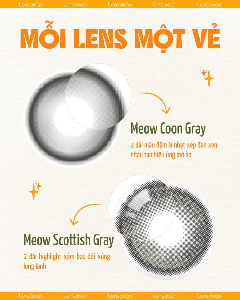 So sánh lens xám Meow Coon Gray và Meow Scottish Gray