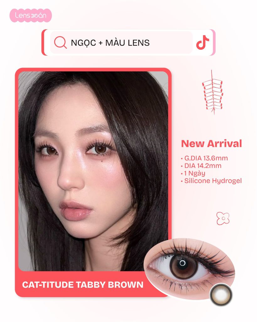 Cat-titude Tabby Brown – Lens hợp tên Ngọc Tết 2026 tại Lens Xoắn