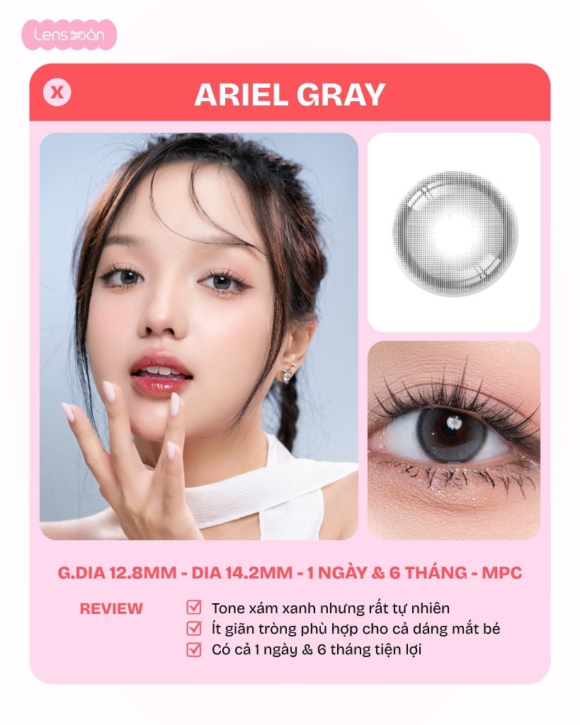 review 5 màu lens best seller restock full độ cận autumn brown ariel gray meow devon beige koshort gray scottish gray