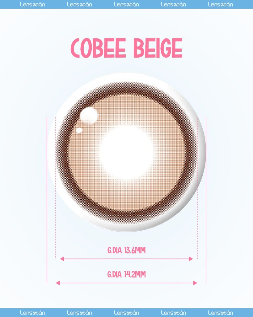 Lens COBEE BEIGE MYFIPN nâu caramel ánh cam giãn tròng tự nhiên