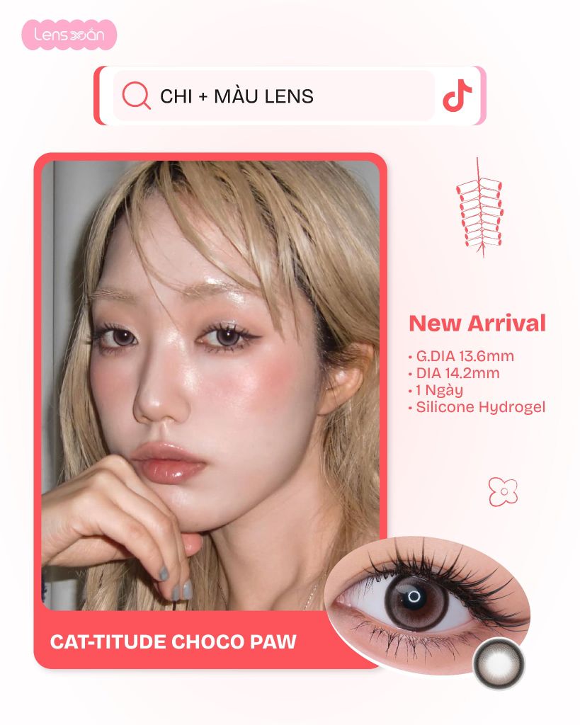 Cat-titude Choco Paw – Lens hợp tên Chi Tết 2026 tại Lens Xoắn