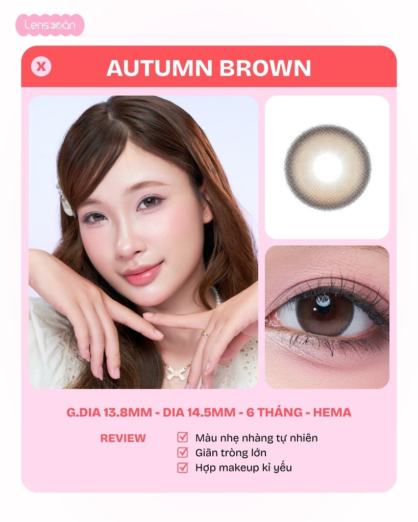 review 5 màu lens best seller restock full độ cận autumn brown ariel gray meow devon beige koshort gray scottish gray