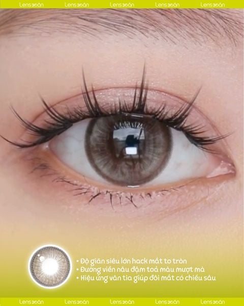 Hiệu ứng baby eyes tự nhiên từ DOLLRING DOROTHY BROWN