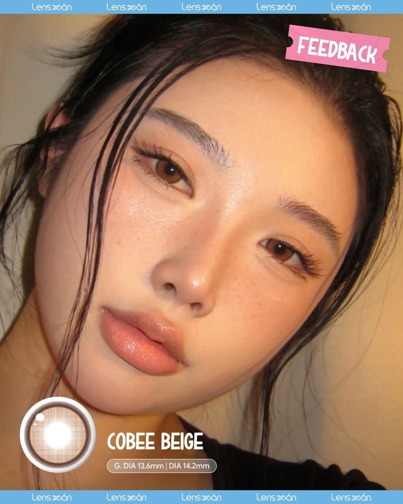 Lens COBEE BEIGE MYFIPN nâu caramel ánh cam giãn tròng tự nhiên