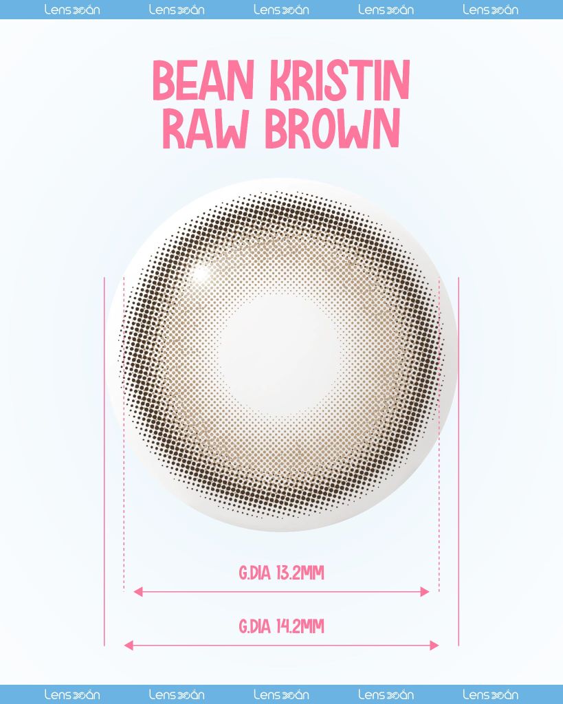 Bean Kristin Raw Brown – Lens nâu vàng hạt dẻ trong veo 1 ngày cho mắt nhạy cảm
