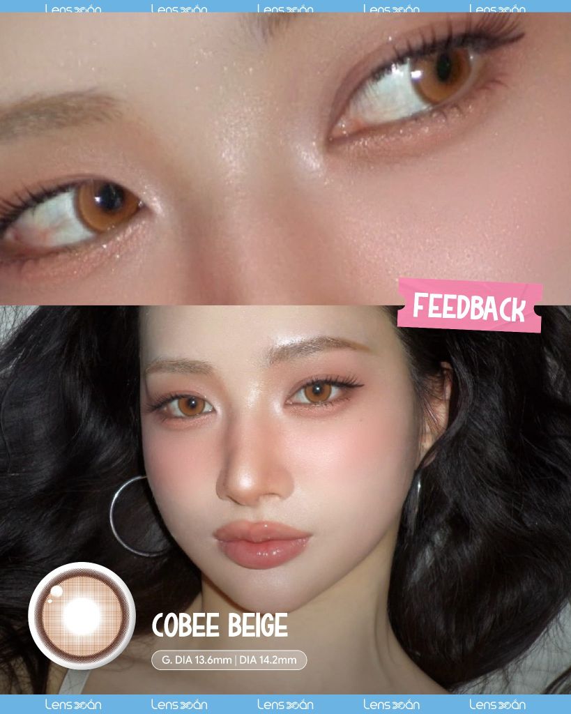 Lens COBEE BEIGE MYFIPN nâu caramel ánh cam giãn tròng tự nhiên