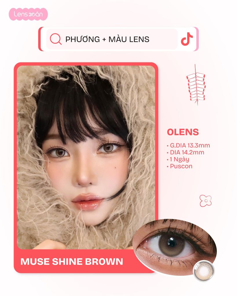 Muse Shine Brown – Lens hợp tên Phương Tết 2026 tại Lens Xoắn