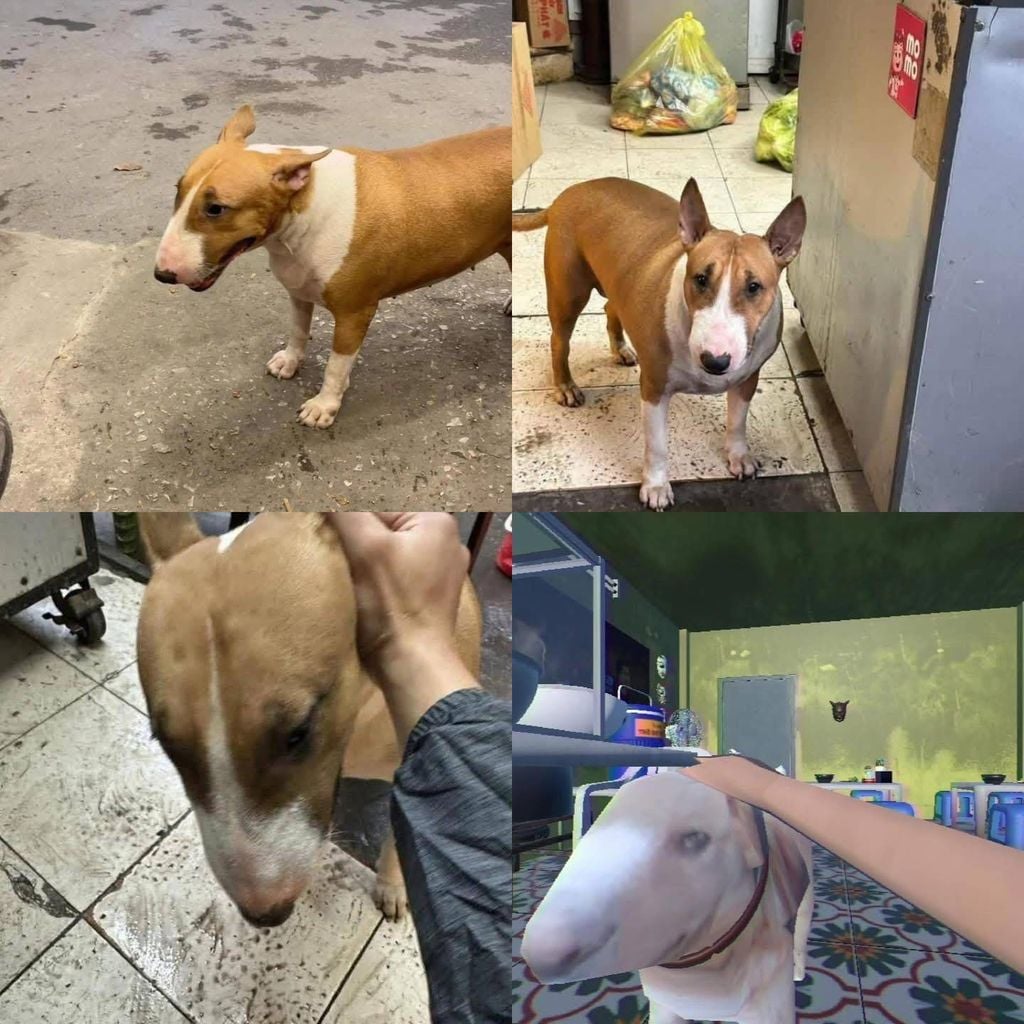 Quán phở bình dân – Bảng hiệu, ghế nhựa, gạch bông