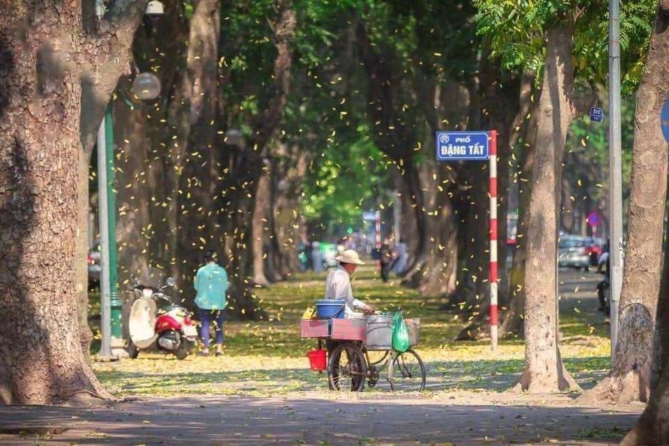 Phố Phan Đình Phùng – Con đường lá vàng thơ mộng như phim tại Hà Nội