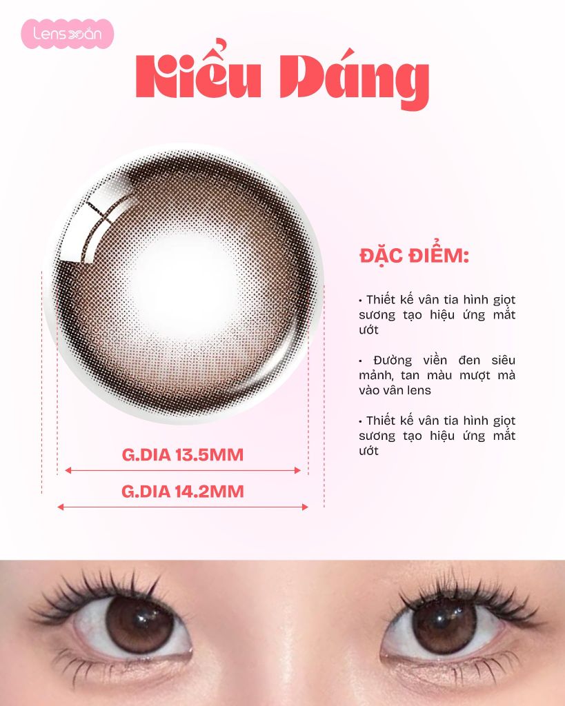 Rain Mocha OLENS lens nâu mocha 1 ngày trong veo chính hãng Lens Xoắn