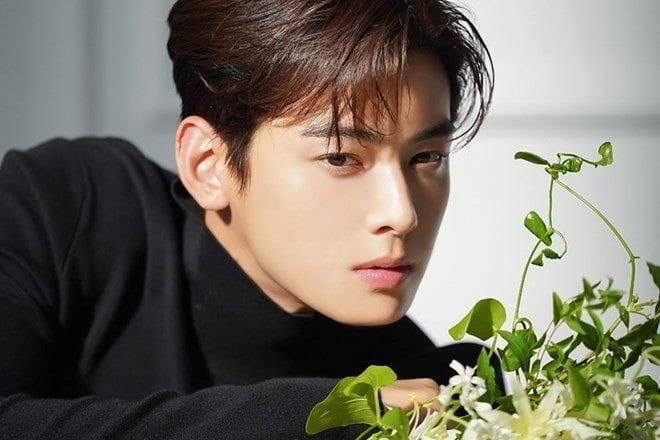 Cha Eun Woo vướng bê bối trốn thuế hơn 20 tỷ won gây chấn động Kbiz