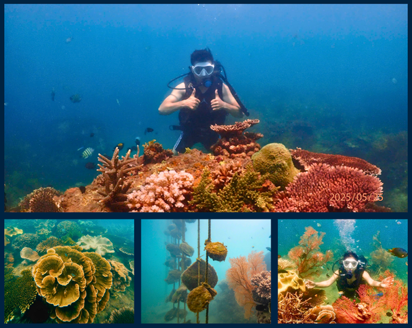 Lặn biển ngắm san hô và ngọc trai